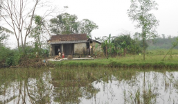 Bị mất con lại năn nỉ xin tha tù cho hung thủ