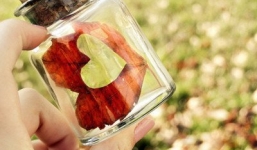 Những lợi ích không ngờ của sự cô đơn trong ngày Valentine