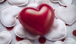 14 việc cần làm để “độc thân vui vẻ” trong ngày Valentine 2014