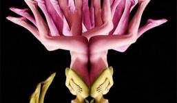 Ngây ngất ngắm tuyệt tác nghệ thuật từ thiếu nữ nude