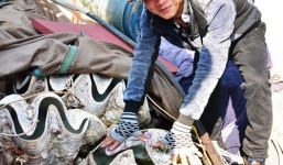 15 triệu đồng một con sò tượng dài 1m