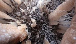 Cận cảnh biển băng khổng lồ tại hồ nước ngọt lớn nhất thế giới