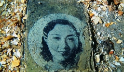 Những hình ảnh rùng rợn của “nghĩa địa dưới lòng đại dương”