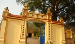 Tin lời... bà điên, cả làng hì hục 'nghịch' đất bẩn