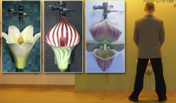 Ngắm bộ sưu tập bệ toa-let nghìn đô độc nhất vô nhị