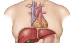 Những dấu hiệu chứng tỏ bạn bị tổn thương gan