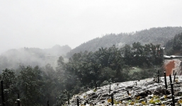 Nhiệt độ giảm xuống gần 0 độ, Sa Pa lại phủ trắng tuyết 