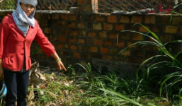 Bé gái bị xâm hại khi chơi trốn tìm với gã trai bệnh hoạn