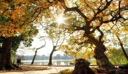 Thời tiết ngày 20/2: Bắc Bộ rét hại diện rộng