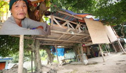 Người đàn ông làm nhà trên cây để cai nghiện