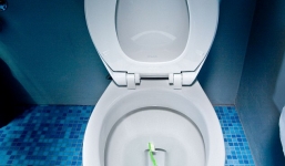 Vú em nhúng bàn chải của chủ vào bồn cầu để trả thù 