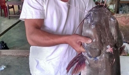 Câu được cá 'khủng' dài hơn 1m