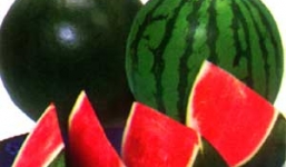 Những loại bệnh tối kỵ ăn dưa hấu