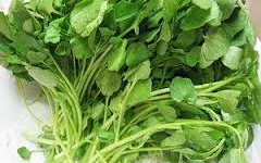 Tác dụng chữa bệnh kỳ diệu của rau cải xoong 