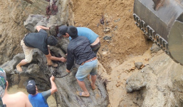 Người phát hiện được chia 30\% giá trị khúc gỗ sưa tiền tỷ