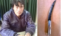 Kẻ sát hại vợ khai những gì?