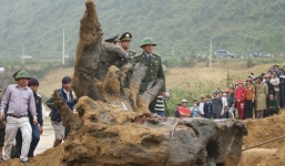 Khúc gỗ sưa tiền tỷ: Ông trùm xuất hiện, tình thế thay đổi