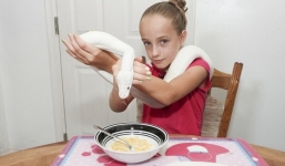 Clip Cô bé 9 tuổi sống cùng rắn suốt 7 năm