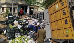 Hơn tấn xoài đổ ra đường, không có cảnh hôi của