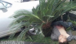 Chém 3 người trọng thương, lái xe tông chết bảo vệ khách sạn