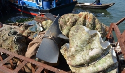 Thu giữ hàng chục con sò tai tượng dài 1m có giá hàng trăm triệu đồng