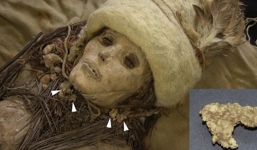 Pho mát 3.600 tuổi trên xác ướp cổ đại