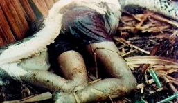 Cận cảnh trăn khổng lồ bò vào nhà nuốt chửng bé trai 4 tuổi