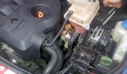 Chú chó sống sót kì diệu sau hành trình 12 dặm kẹt trong động cơ xe hơi