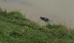 Nghi án giết người, vứt xác vào bao tải thả trôi sông