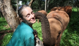 Người phụ nữ dành cả đời nuôi voi mồ côi