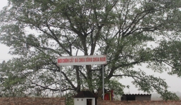 Nghĩa địa của oan hồn sông nước giữa Hà Nội