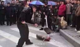 Sốc: Cảnh sát đánh chết chó cưng của người vô gia cư