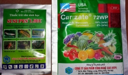 Chuyện động trời ở làng rau sạch lớn nhất Hà Nội