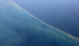 Máy bay mất tích: Kết quả xét nghiệm vệt dầu loang nghi của máy bay Malaysia