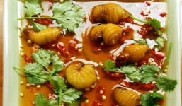 Đuông dừa - món đặc sản 'kinh dị'