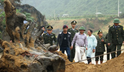 Gốc sưa 'chục tỷ' sẽ được đưa vào viện bảo tàng