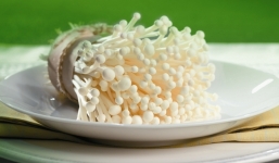 Giao lưu trực tuyến: “Bí quyết chọn nấm của bà nội trợ thông thái'