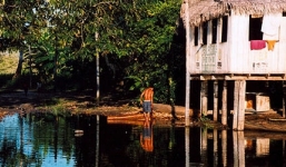 Bé gái bị bắt cóc và lạm dụng tình dục trong rừng rậm Amazon