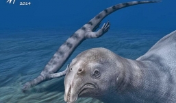 Loài bò sát kỳ lạ có hàng trăm chiếc răng nhọn như kim