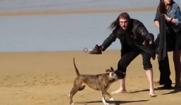 Clip: Chó điên tấn công người trên bãi biển