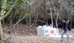 Chuyện lạ về khu rừng hễ ai chặt cây là gặp họa