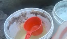 Phạt học trò súc miệng nhổ ra cho đầy xô nước