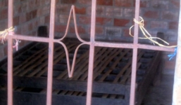 Nhốt cha mẹ trong nhà để… đi cướp