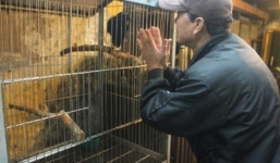 Quạ nói tiếng Anh như gió tại Hải Phòng