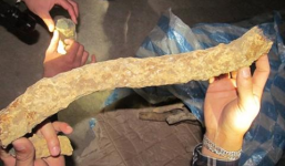 Bắt giữ hơn 200 kg gỗ lạ nhập khẩu từ Malaysia