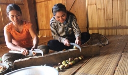 Trung Quốc ngừng mua, dân Quảng Ngãi bỏ mặc cau chín rục 