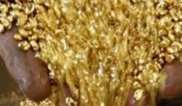 Dấu tích kho báu bị chôn vùi của “vua” Gia Long Vần Thùng