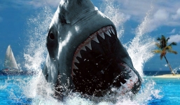 Cận cảnh thợ lặn vật lộn với cá mập hung dữ dưới đáy biển