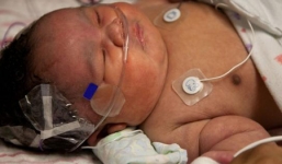 Bé gái sơ sinh sống lại trước khi đưa đi hỏa táng