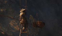 Clip thợ săn ong treo mình lủng lẳng giữa vách núi Himalaya hùng vĩ